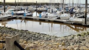 A marina with multiple boats docked, surrounded by rocky terrain and a clear sky. - Vacation apartment Nara (Esens)