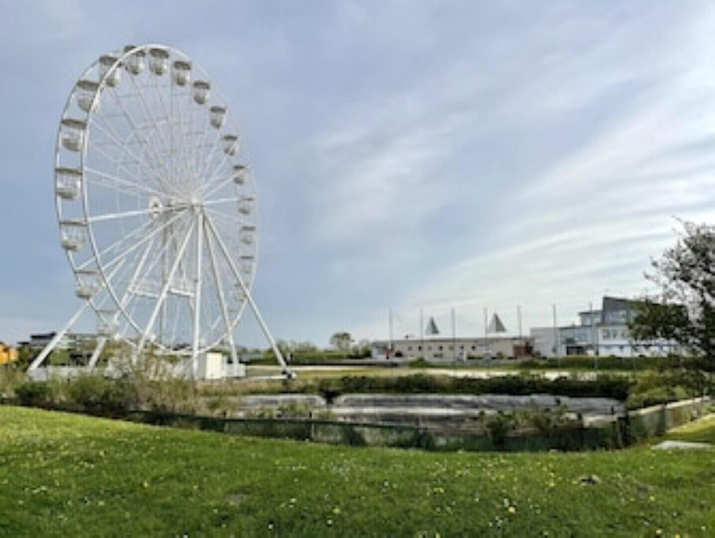 Una noria grande en un parque con zonas verdes y un edificio al fondo.