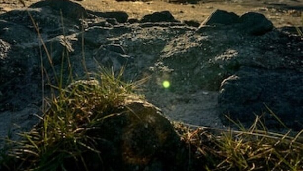 A sunset over a rocky beach with sparse vegetation. - Vacation apartment Nara (Esens)