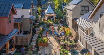 Academy Place | Fairy Slipper