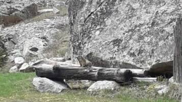 Enceinte de lâhĂ©bergement