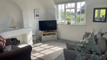 Smart-TV, Kamin