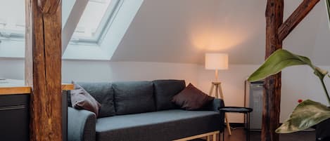 TV, computer monitors, printers