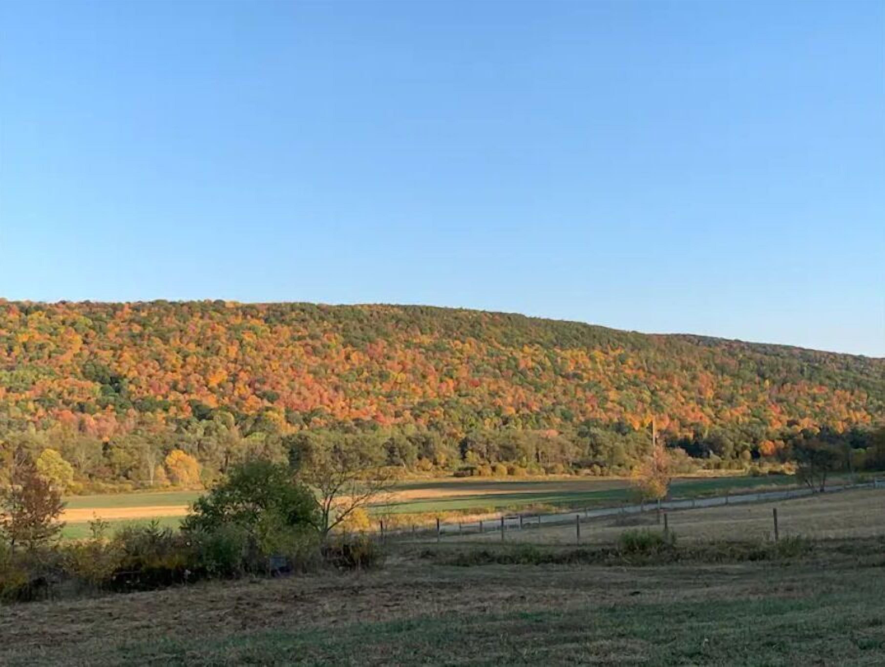 A hilly landscape with autumn foliage.