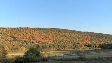 A hilly landscape with autumn foliage.
