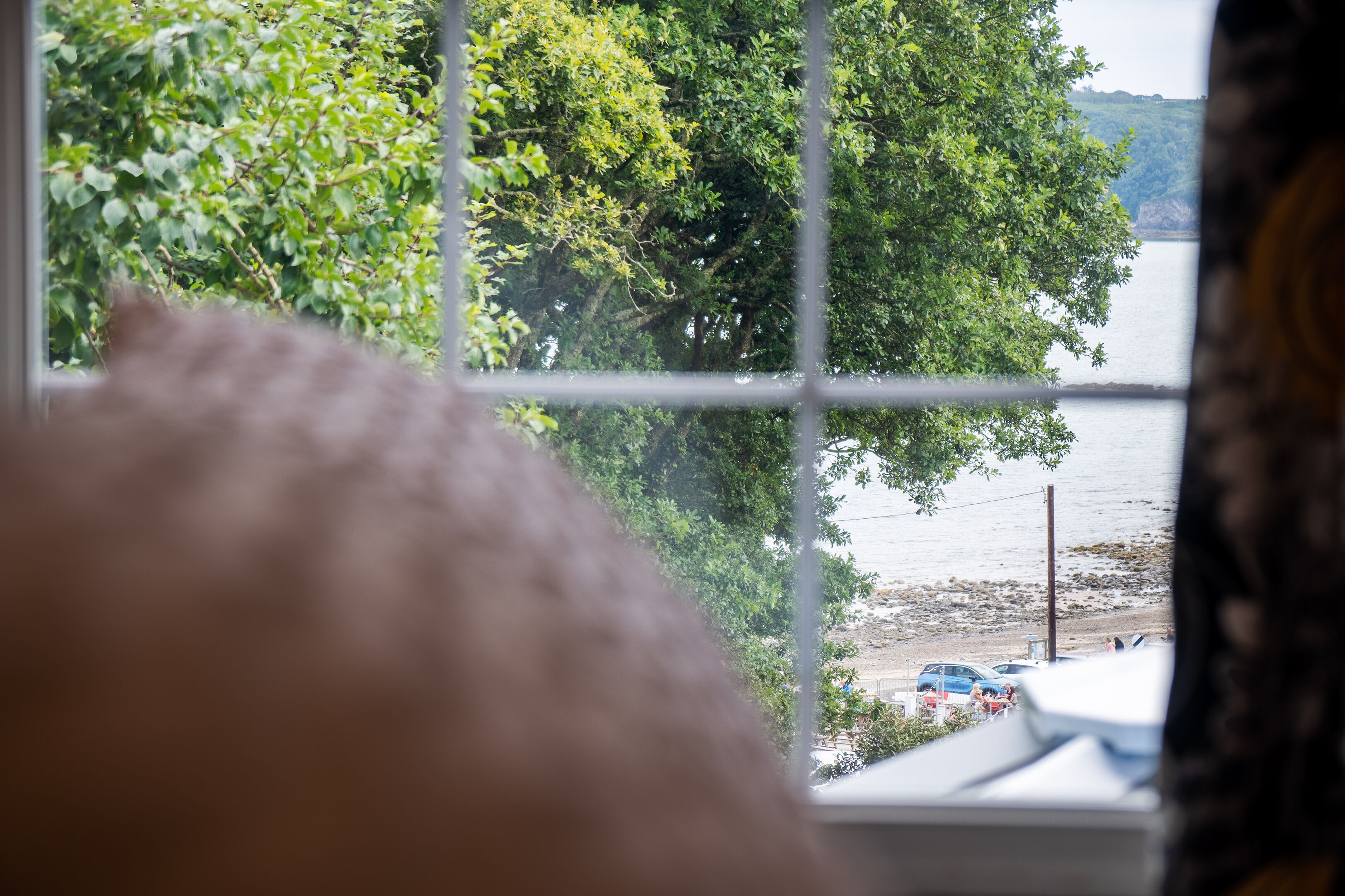 A view through a window with a view of a body of water, trees, and parked cars.
