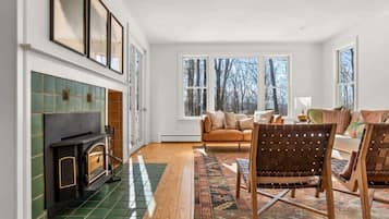 TV, fireplace, books, stereo