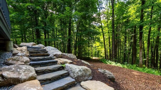 A stone staircase leading into a forested area. - Hupi House: A Peaceful, Wooded, Lakeside Sanctuary (Monterey)