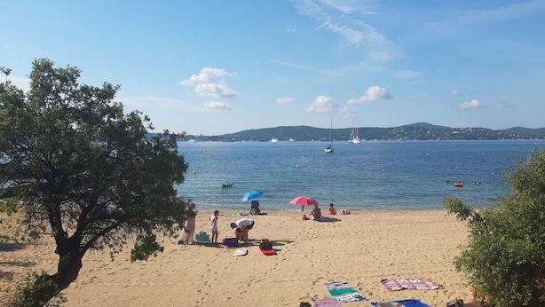 Een strand met mensen die zonnebaden, een boom en boten op de achtergrond.