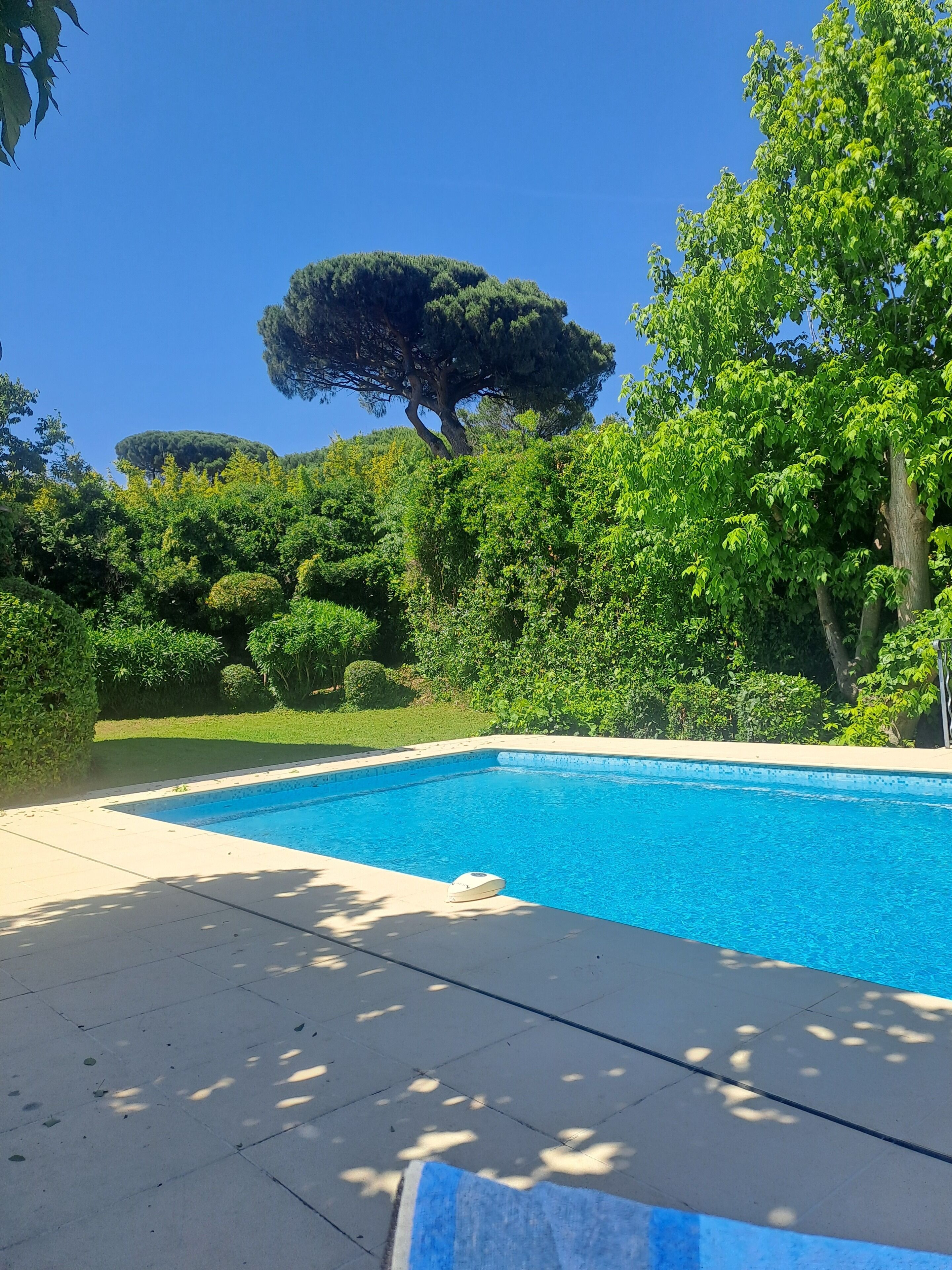 Piscina retangular com borda revestida em azulejo, cercada por um deck pavimentado.