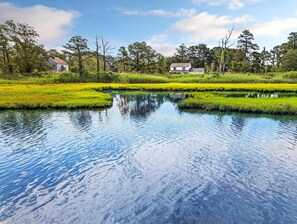 Property grounds - Mermaid Crossing - Pet friendly; Waterfront w/ Dock! (Chincoteague Island)