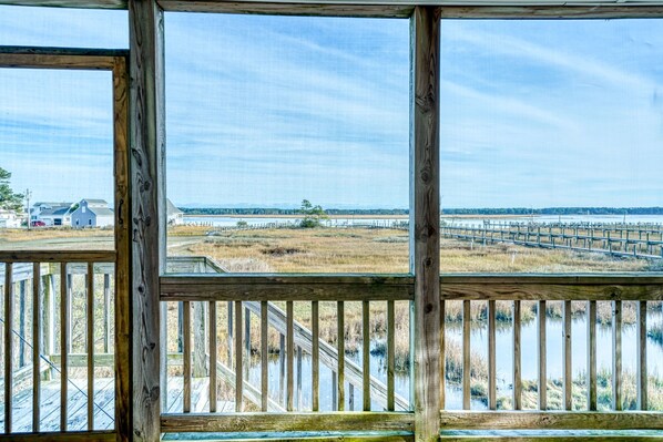Property grounds - Moon Rising - Waterfront; Shared dock! (Chincoteague Island)