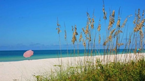 A beach with a white sand shore, a red and white striped umbrella, and tall grasses in the foreground.