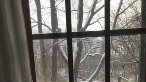 Ein Fenster mit Blick auf eine verschneite Landschaft und kahle Bäume.