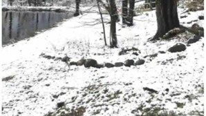 Schneebedeckte Landschaft mit kahlen Bäumen und einem Gewässer.