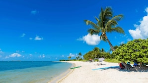 A beach with clear blue water, a sandy shore, and palm trees. - Luxury Waterfront Oasis w Heated Pool and 50' Dock (Marathon)