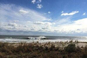 Condo, 2 Bedrooms | Beach | On the beach