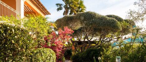 A pathway leading to a building with a tiled roof, surrounded by lush greenery and a palm tree.