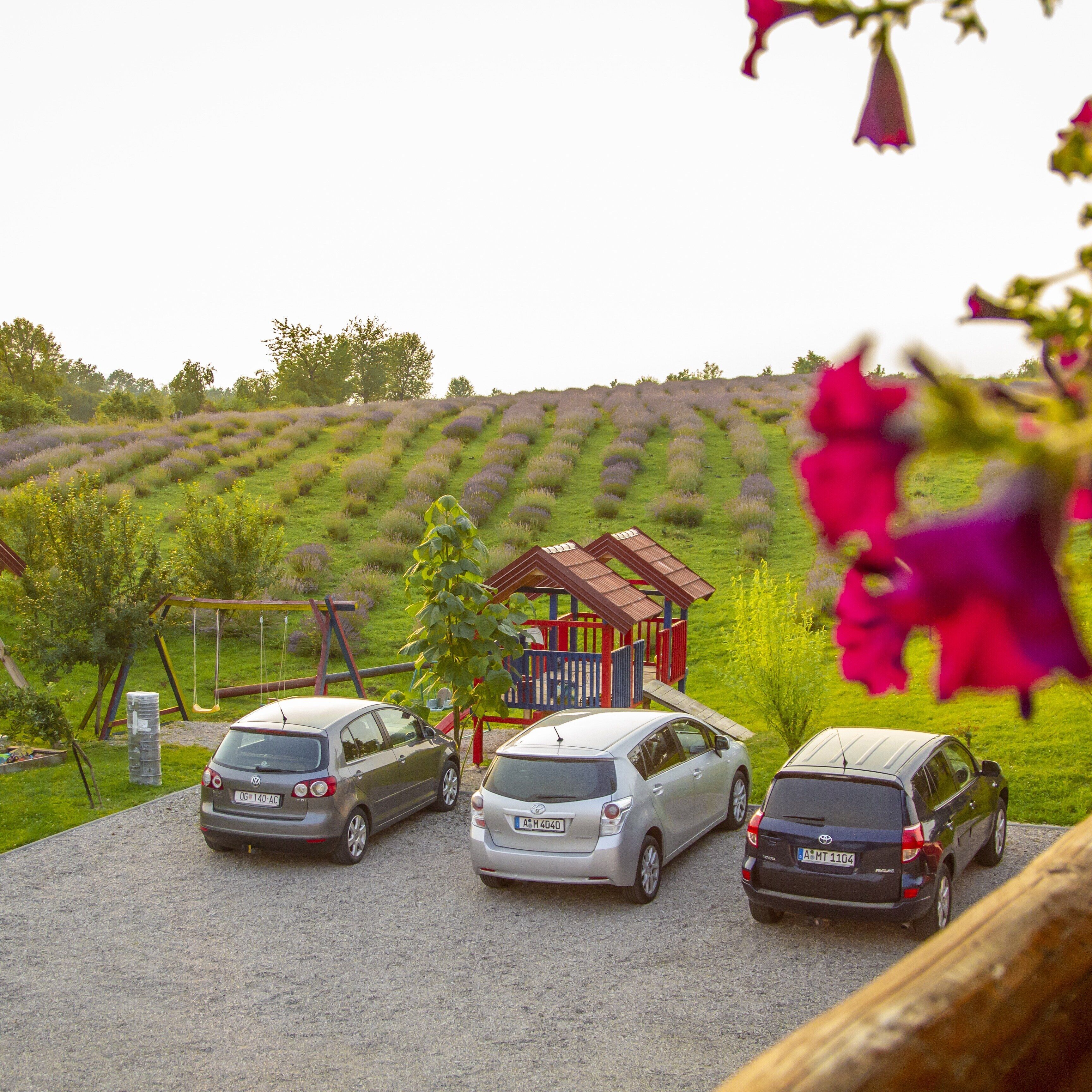 Overnattingsstedets uteområder