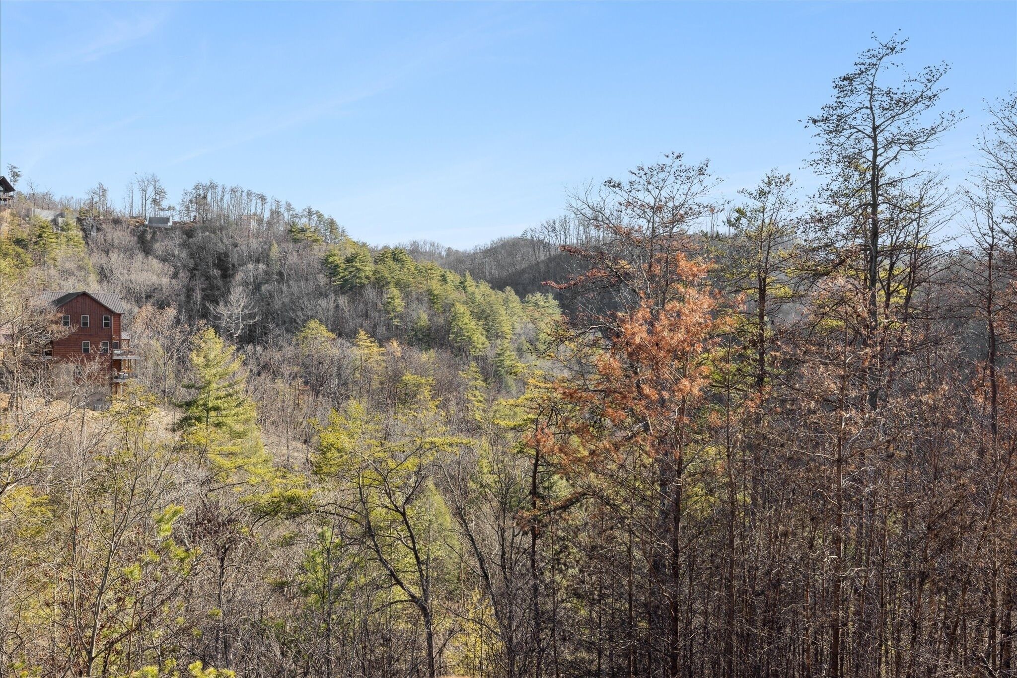 A forested area with a building on a hill.