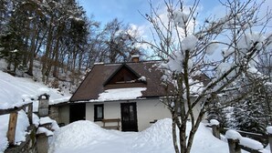 A house with a sloped roof, surrounded by snow-covered trees and a stone wall. - Quiet Family sized House in a small village (Radovljica)