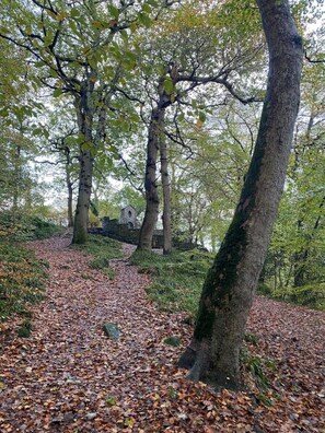 Áreas de la propiedad