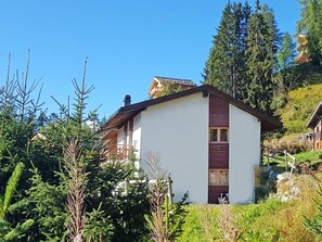 Exterior - Chalet, wifi, 200m from resort center, view mountain, balcony, fireplace or stove, tv, ski locker (Les Collons)