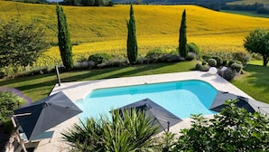 Ein Swimmingpool mit Blick auf ein gelbes Blumenfeld und hohe Bäume.