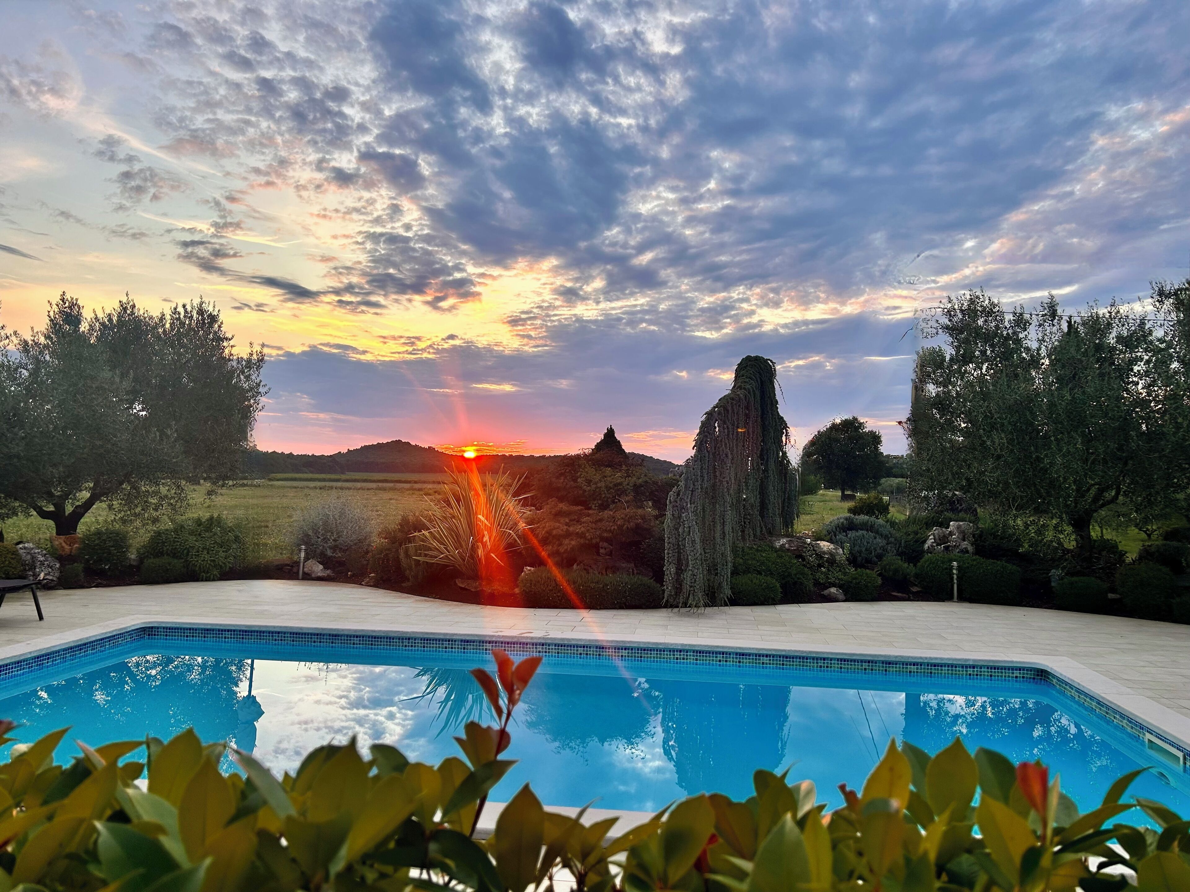 Ein Schwimmbad mit Sonnenuntergangsblick, umgeben von viel Grün und wolkenlosem Himmel.