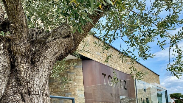 A building with a stone facade and a large tree in front. - Very nice detached country house TOPAZ near Porec, climate, 5 min. to the sea (Porec)