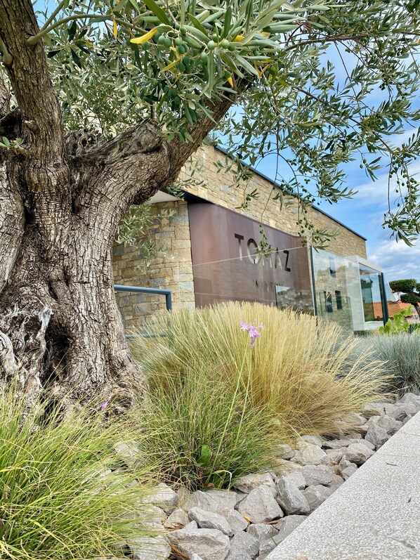 Exterior detail - Beautiful country house TOPAZ****Porec/Dracevac, air conditioning 5 min. to the sea (Porec)