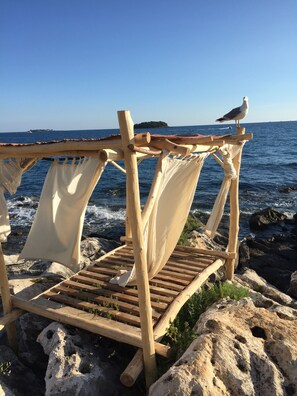 Lettini da mare