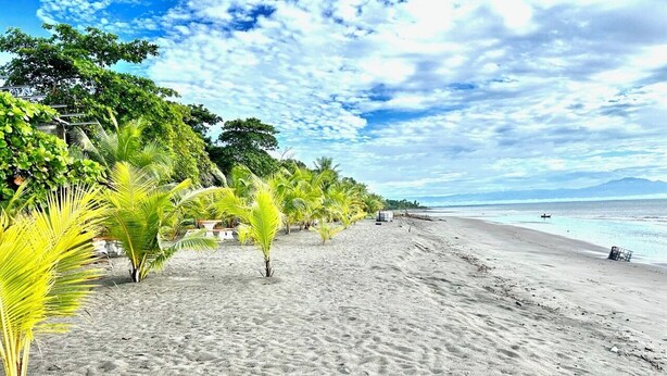 Een strand met zand, palmbomen en uitzicht op de oceaan.
