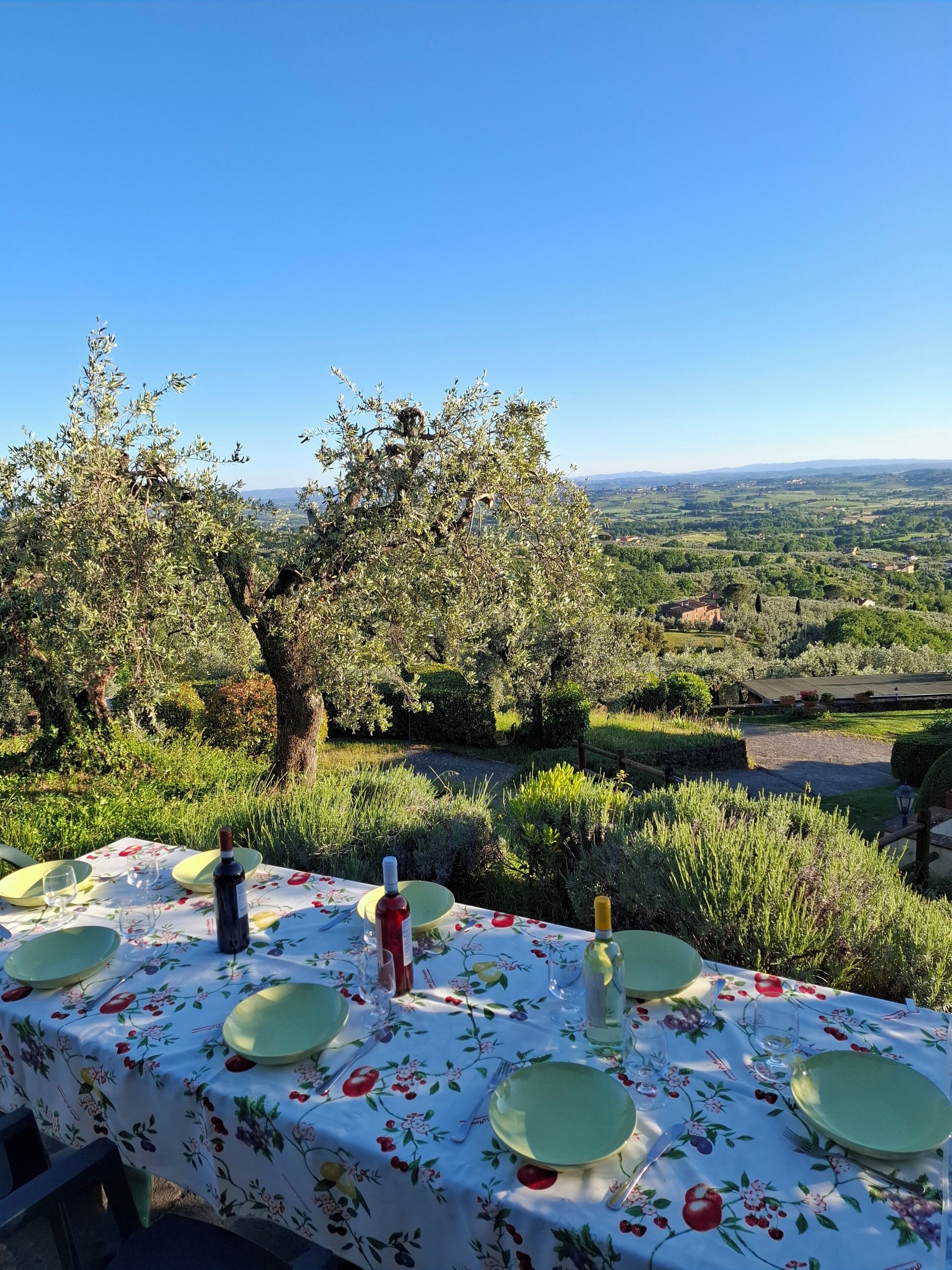 Tavolo apparecchiato all'aperto con vista su ulivi e un paesaggio lontano.