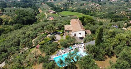 Exclusive villa near Vinci in private grounds with amazing views and great pool