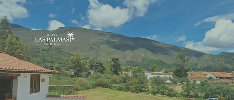 View from room