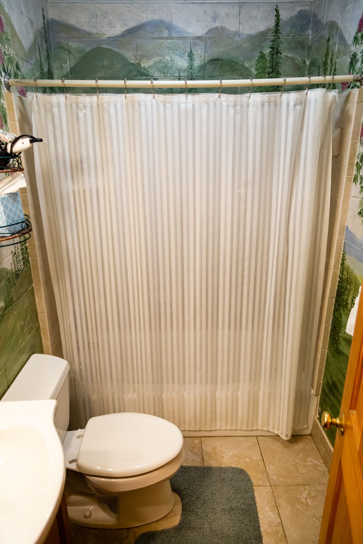 A bathroom with a toilet, sink, and shower curtain.