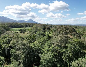 A lush landscape with dense greenery and a mountain in the background. - Bungalows Las Iguanas Arenal Volcano (Peñas Blancas)