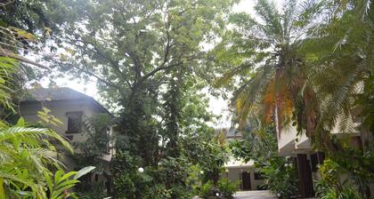 Comfortable house/3 bedrooms with private baths/ great location