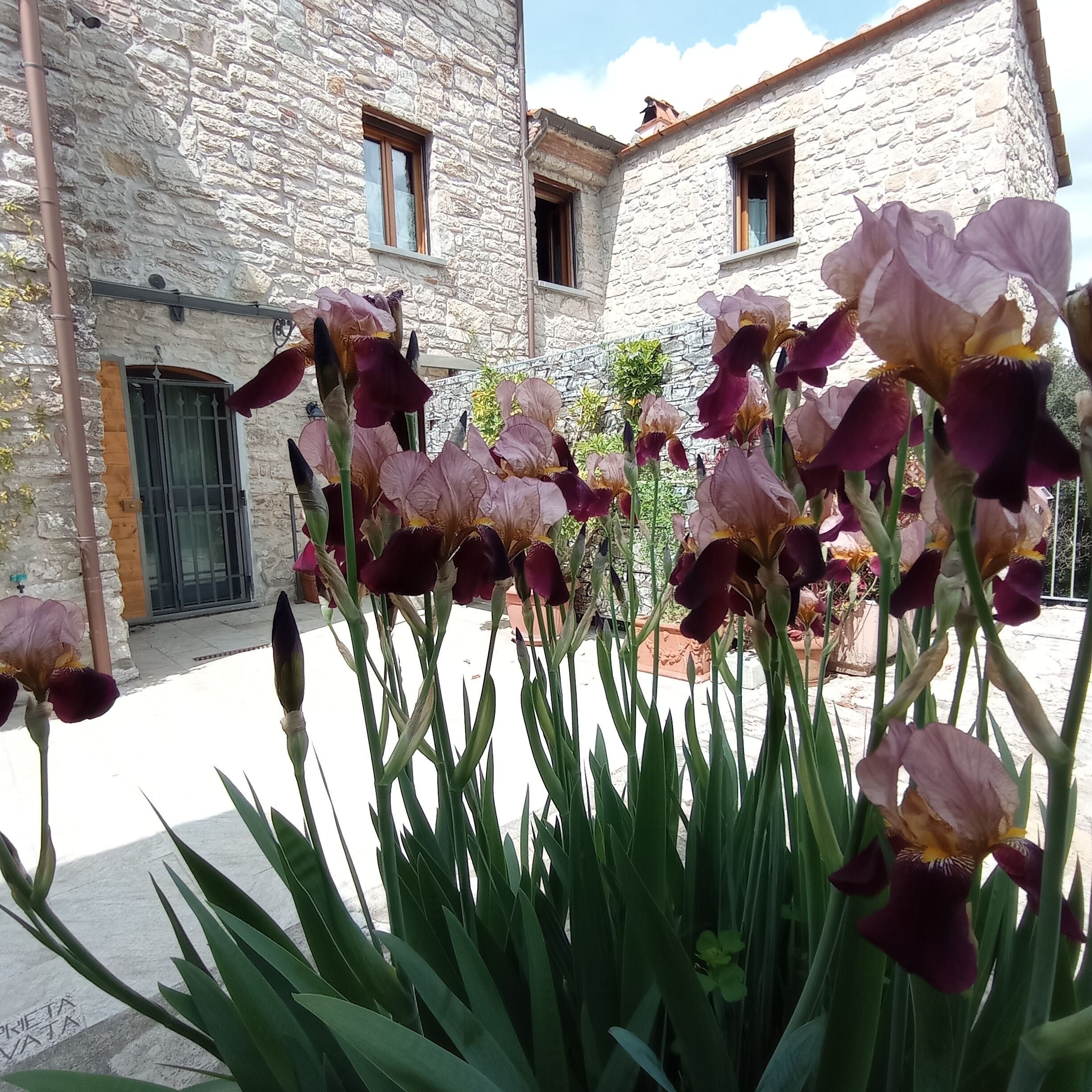 Terrein van de accommodatie