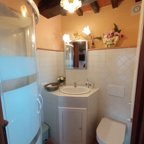 Shower, hair dryer, bidet, towels