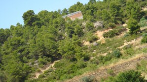 Un edificio con techo inclinado en una ladera, rodeado de árboles verdes y frondosos.