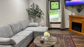 Smart TV, fireplace, books