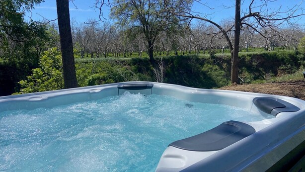 Un bain à remous extérieur, entouré d’arbres et de verdure.