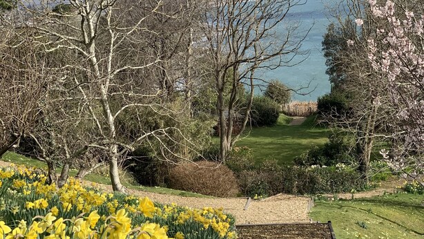 A garden with yellow daffodils, a wooden deck, and a view of the sea. - Stylish 1 Bed Apartment with Sea views (Shanklin)