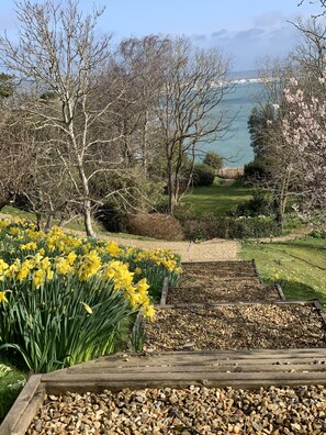 Een tuin met gele narcissen, een houten terras en uitzicht op zee.