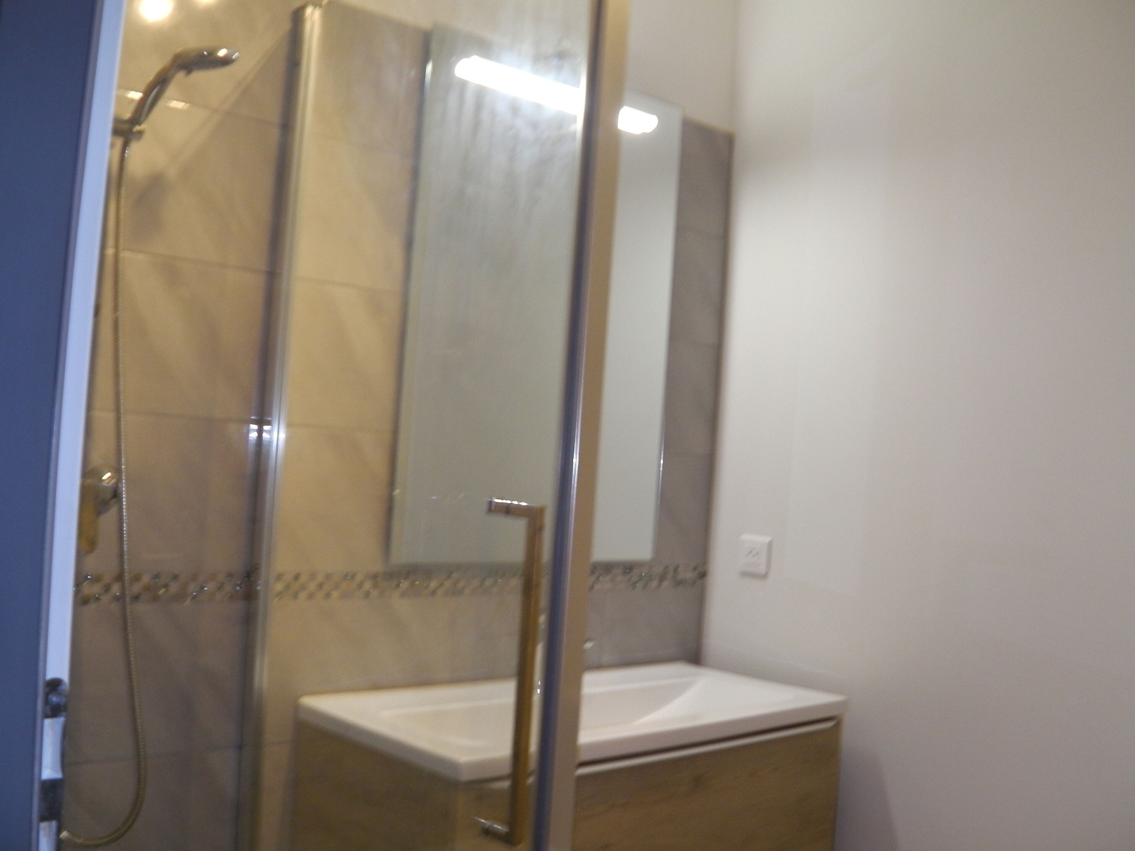 Shower, hair dryer, soap, toilet paper