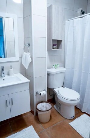 Regadera, secadora de cabello, toallas, jabón 