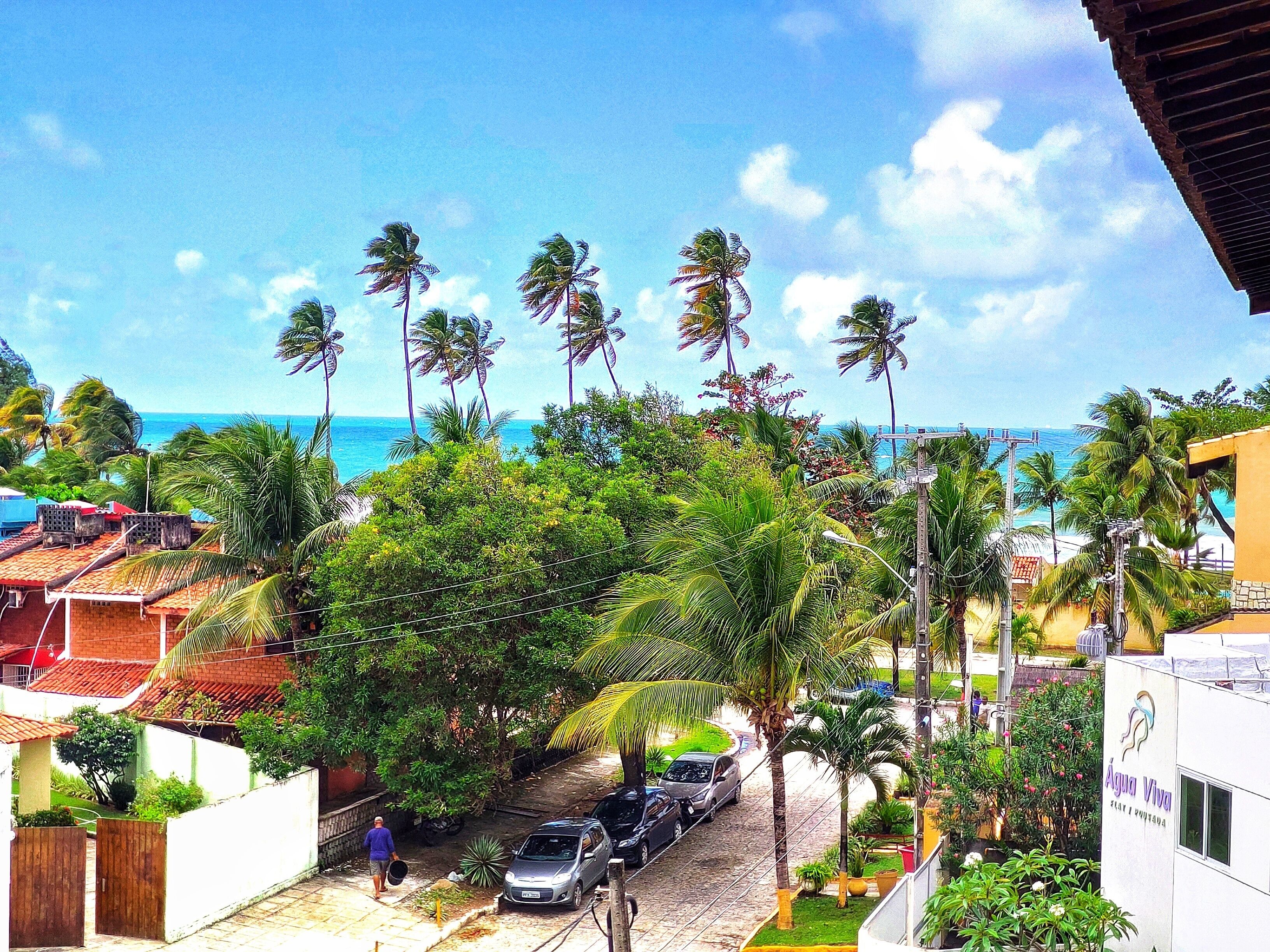 A street with cars parked on the side, palm trees, and a building with a sign that reads "Água Viva".