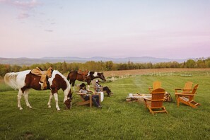 Property grounds - Kingdom Carriage House, Historic Home on 35 Acres in the Northeast Kingdom (Sutton)